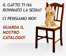 Gatto sedia